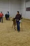 carousel chooser