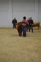 carousel chooser