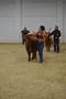 carousel chooser