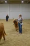 carousel chooser