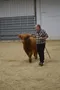 carousel chooser