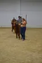carousel chooser