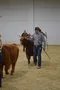 carousel chooser