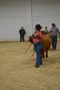 carousel chooser