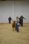carousel chooser