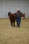 carousel chooser