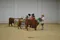 carousel chooser