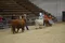 carousel chooser