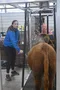 carousel chooser