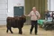 carousel chooser