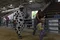 carousel chooser