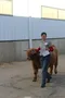 carousel chooser