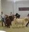 carousel chooser