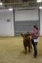 carousel chooser
