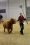carousel chooser