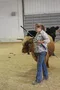 carousel chooser