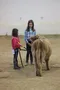 carousel chooser