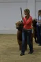 carousel chooser