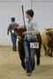 carousel chooser