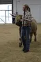 carousel chooser