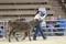 carousel chooser