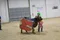 carousel chooser