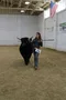 carousel chooser