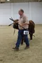 carousel chooser