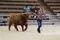 carousel chooser