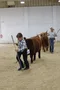 carousel chooser