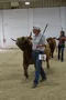 carousel chooser