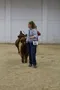 carousel chooser