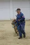 carousel chooser