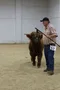 carousel chooser