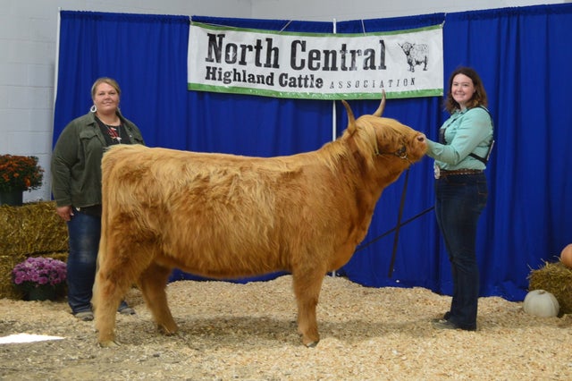 Annual Show