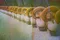 carousel chooser