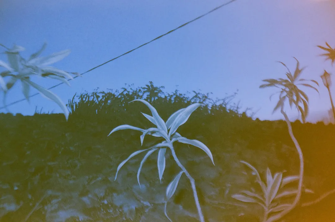 Picture