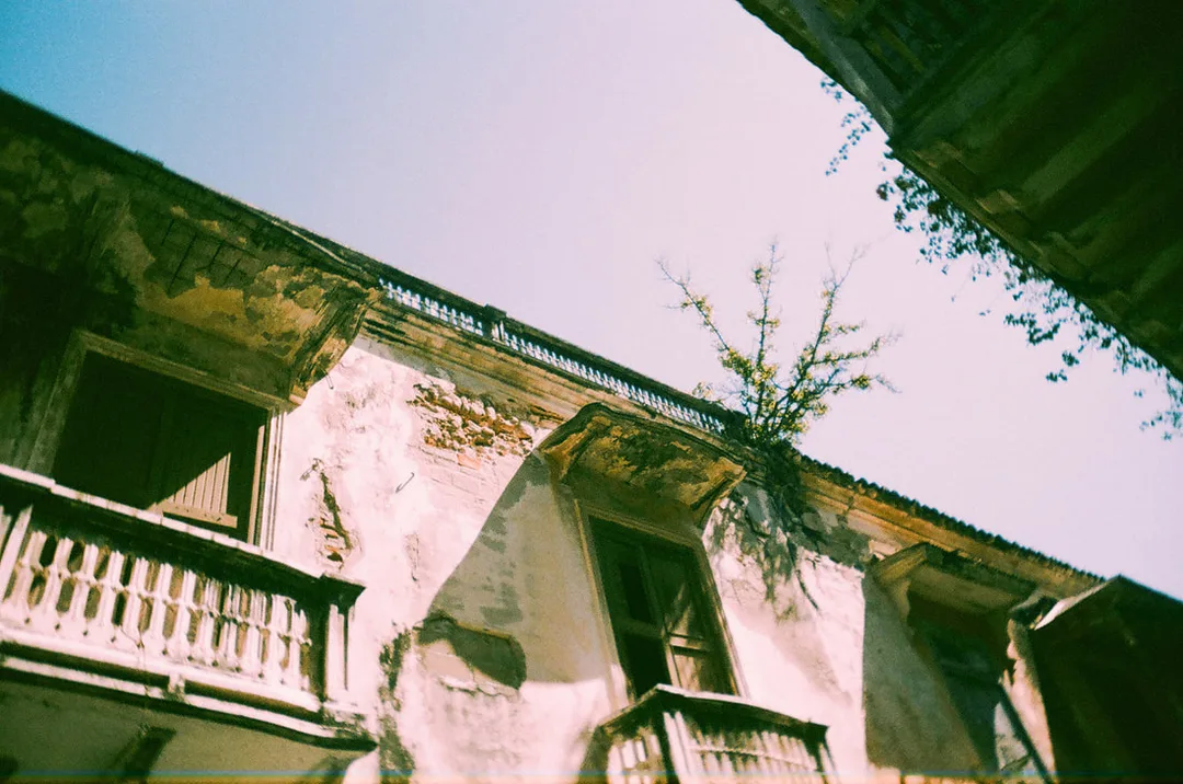 Picture