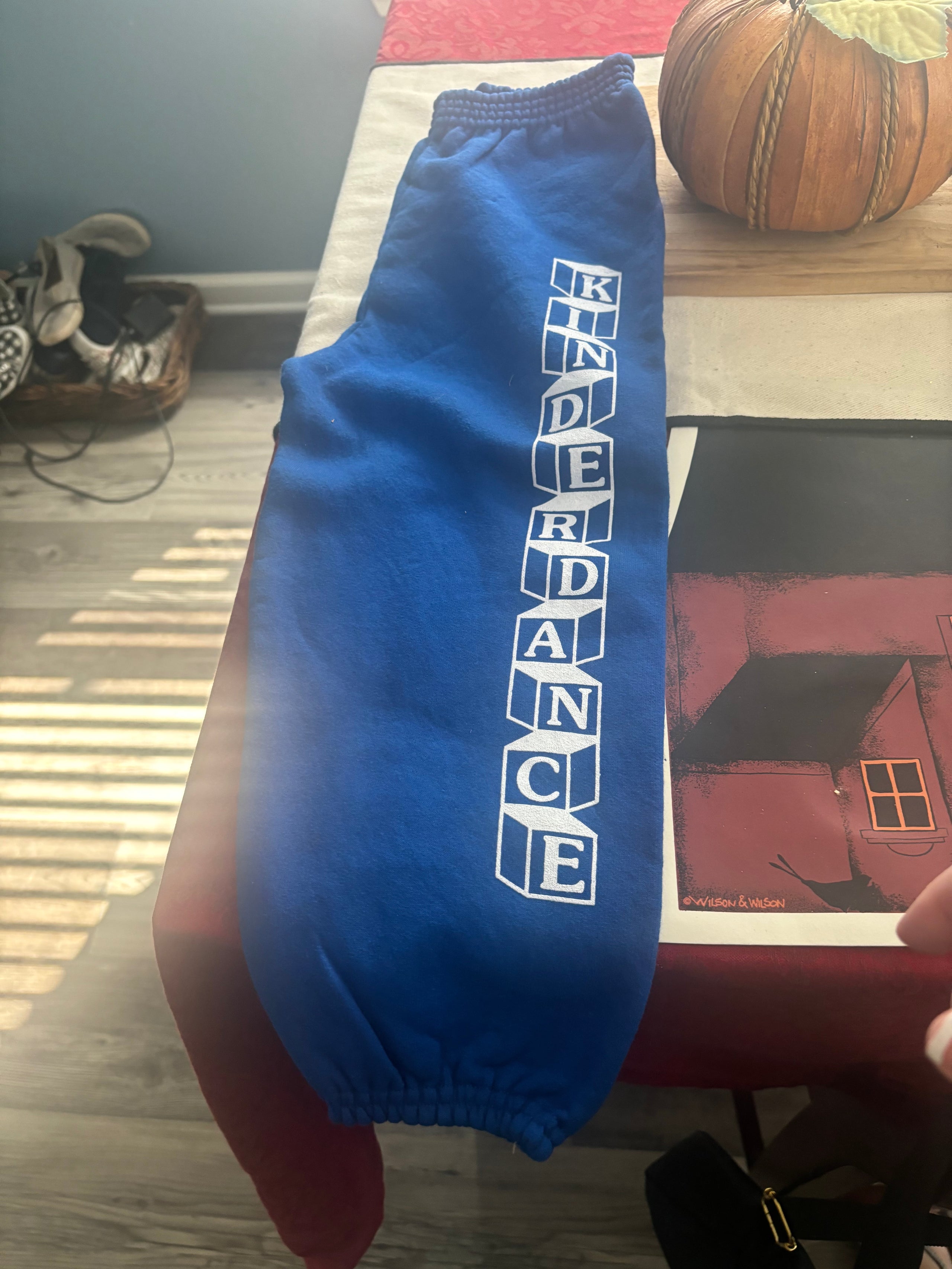 Royal blue sweatpants