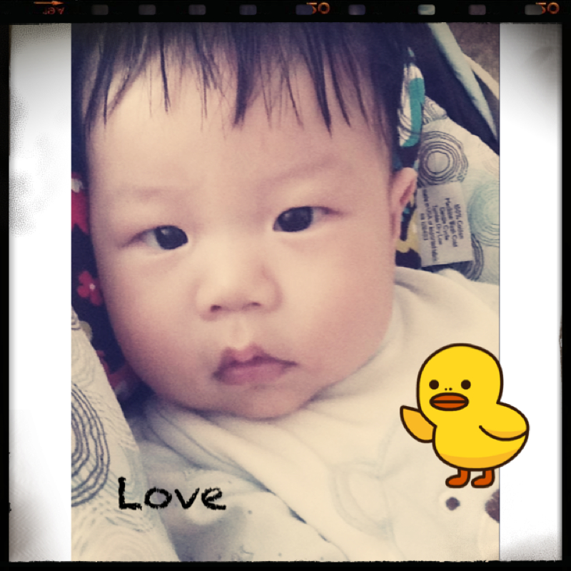 Picture