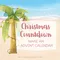 carousel chooser