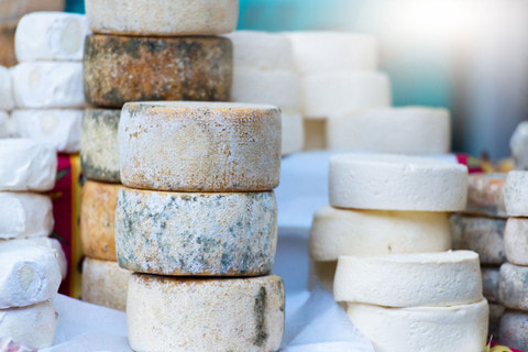 FBP50321 - Diploma of Artisan Cheesemaking