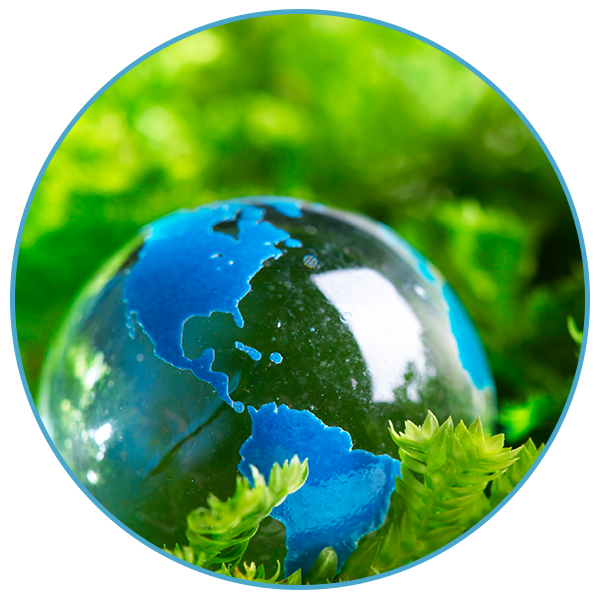 MSS - Sustainability