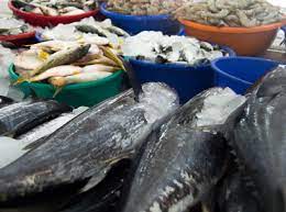 SFI - Seafood Industry
