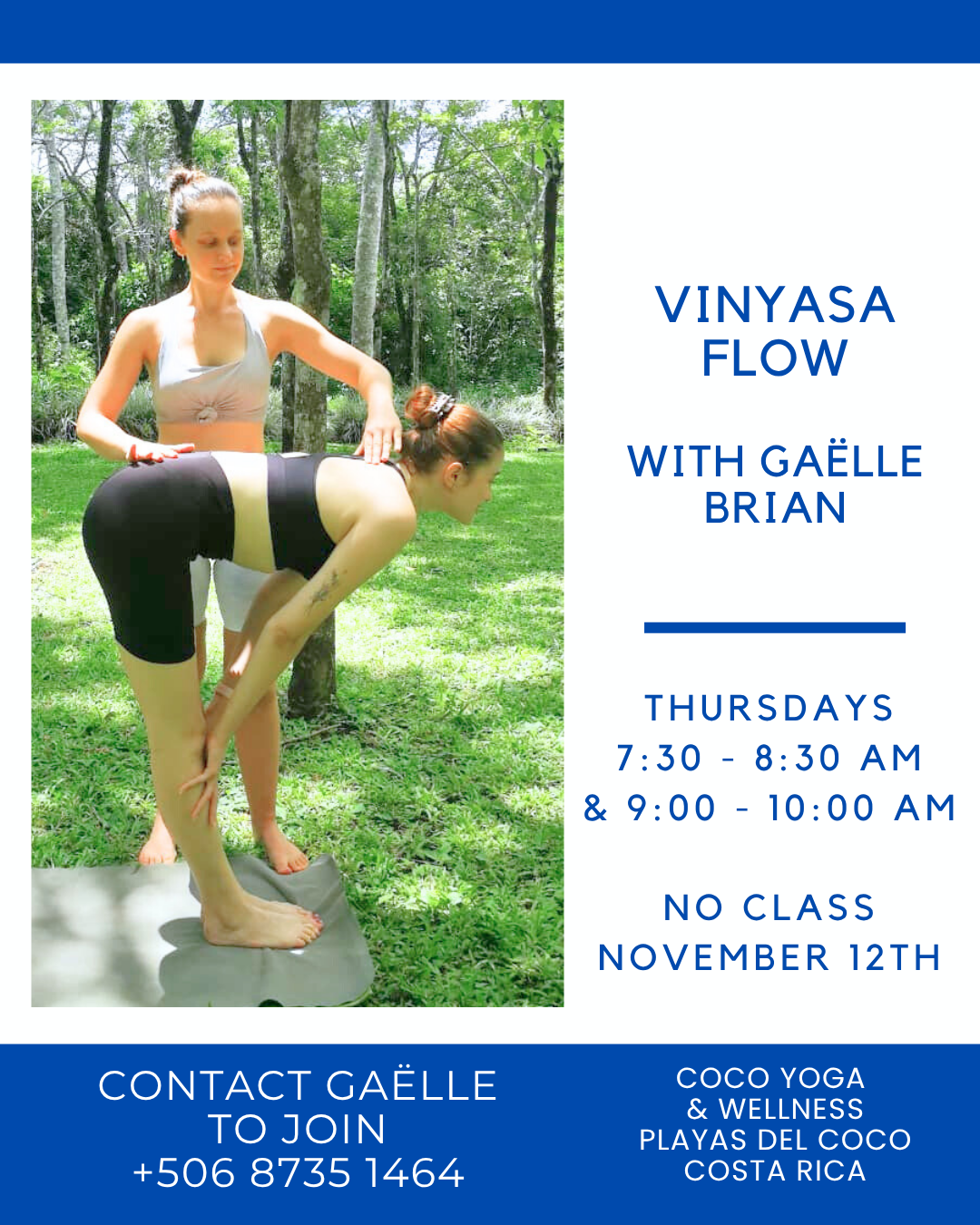 Vinyasa Flow with Gaelle Brian
Thursdays 7:30 - 8:30 AM & 9:00 - 10:00 AM
No Class Novmber 12th