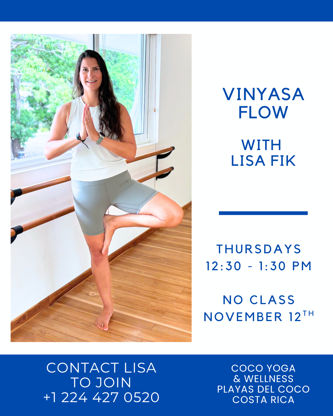 Vinyasa Flow with Lisa Fik
Thursdays 12:30 - 1:30 PM
No Class November 12th
Contact Lisa to Join 
+1 224 427 0520