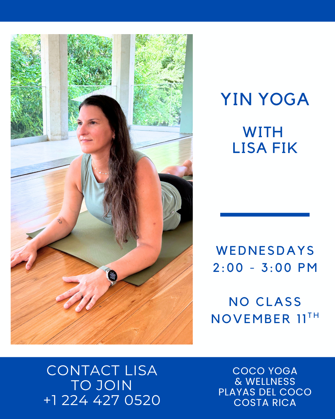 Yin Yoga with Lisa Fik 
Wednesdays 2:00 - 3:00 PM
No class November 11th
Contact Lisa to Join
+1 224 427 0520