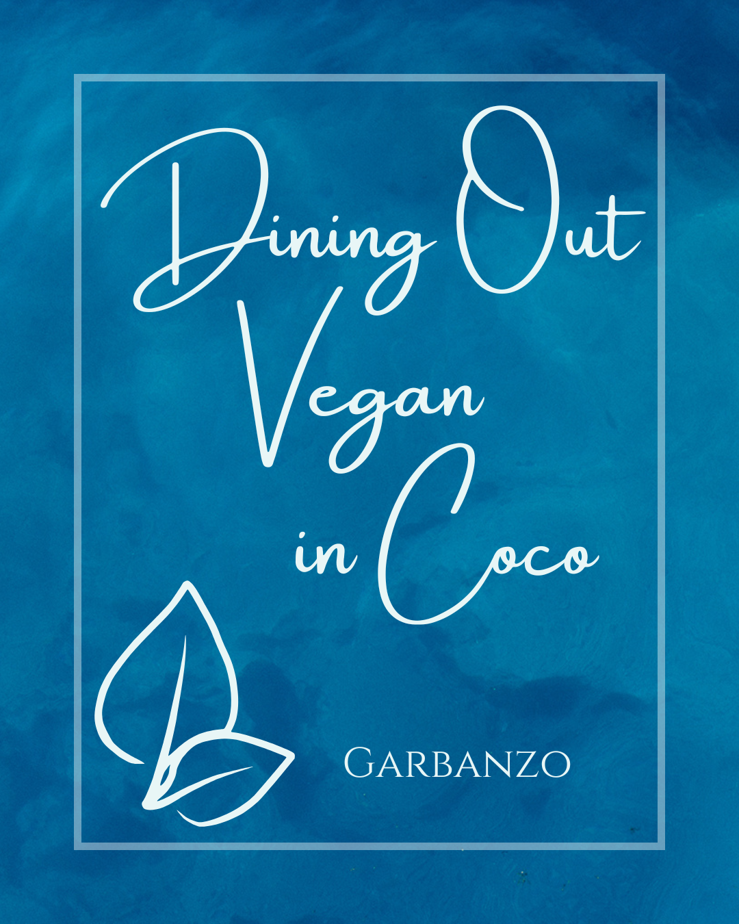 Dining Out Vegan in Playas del Coco Costa Rica