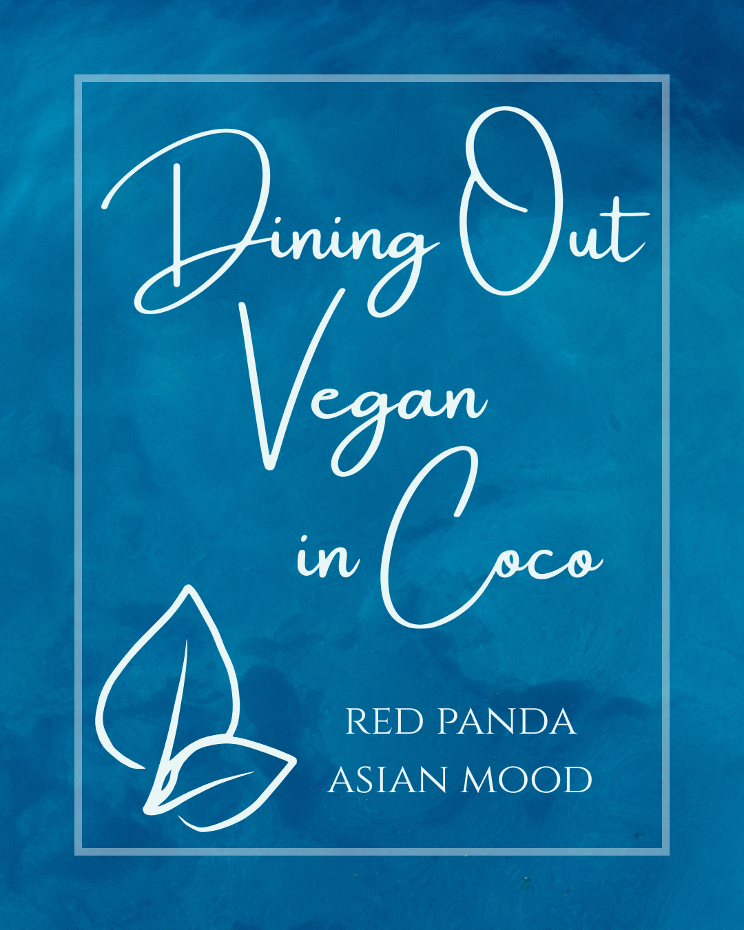 Red Panda Vegan Asian Food Playas del Coco Costa Rica