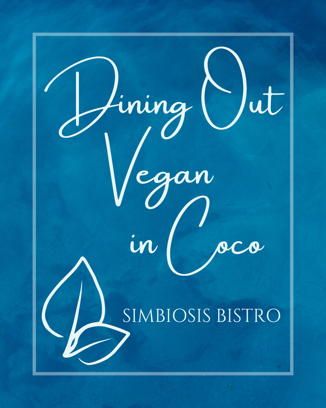 Dining Out Vegan in Playas del Coco Simbiosis Bistro
